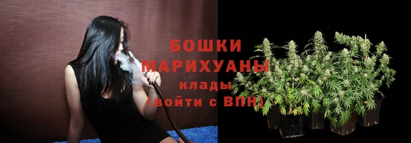 ПСИЛОЦИБИНОВЫЕ ГРИБЫ Магадан