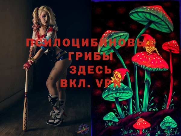 спайс Магас