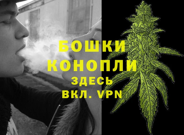 спайс Магас